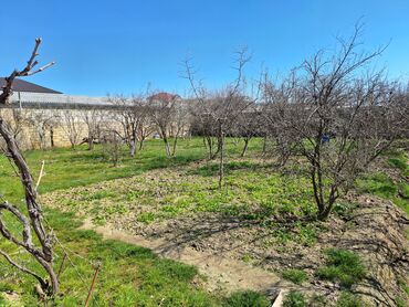 Həyət evləri və villaların satışı: 6 otaqlı, 200 kv. m, Kredit yoxdur, Orta təmir — 21