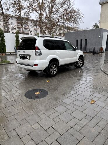 Toyota: Toyota Land Cruiser Prado: 4 l | 2006 il — 4