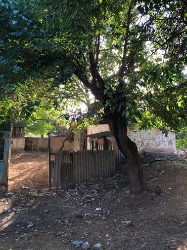 Продажа домов: Дом, 60 м², 2 комнаты, Собственник at lalafo.kg — 18 Продажа домов: Дом, 60 м², 2 комнаты, Собственник — 18