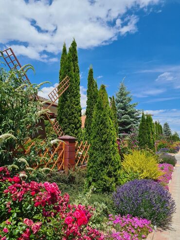 Иссык-Куль 2025: Коттедж, АК-МАРАЛ ЦО Ак Марал, Бает, Детская площадка, Парковка, стоянка, Охраняемая территория — 16