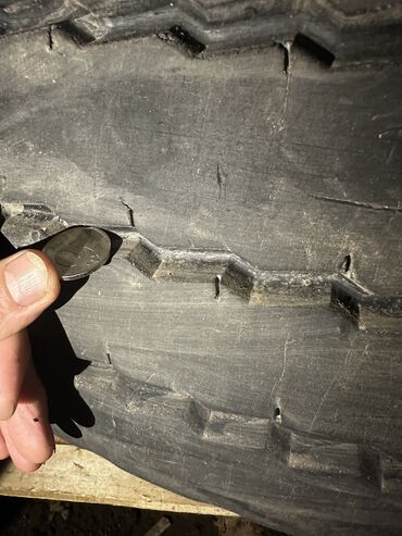 Шины: 385/65/22.5 — 5