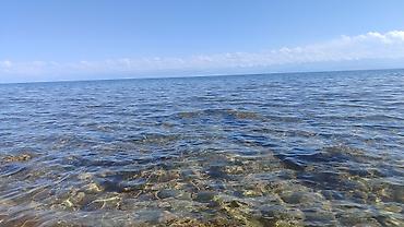 Пассажирский бус на заказ: Пассажирский микроавтобус Mercedes‑Benz Sprinter (длинная база — 12