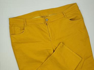dżinsy plus size: Janina, Jeansy damskie, rozmiar 5XL — 1