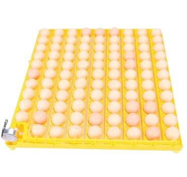inkubator aparati satilir: 98 yumurtalıq latok Matorlu latok Sumqayıt şəhəri 10 cu mkr Xəlifə