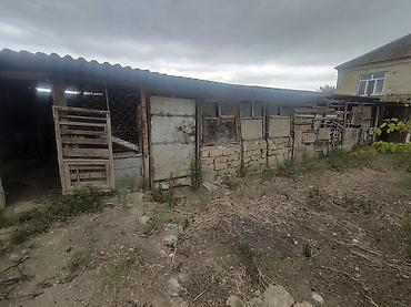 təcili satilir: 6 sot, Tikinti, Mülkiyyətçi, Kupça (Çıxarış) — 5
