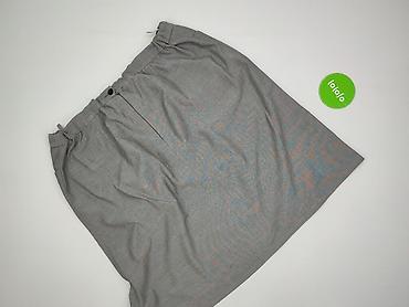 element spódnicy: Spódnica damska, rozmiar 2XL — 3