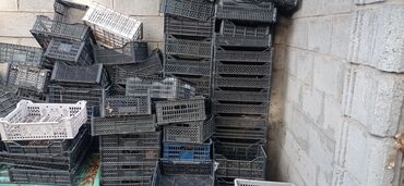 продаю труба: Пластиковые ящик