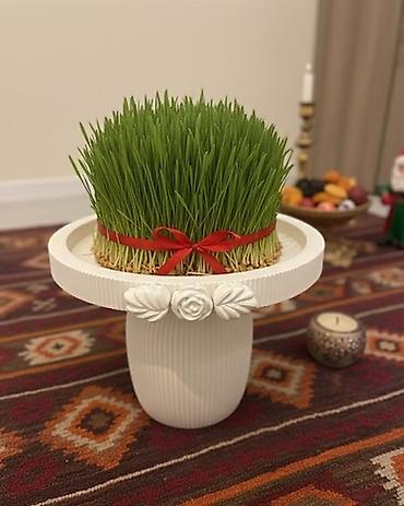 dekor qab: Tort və şiriniyyat qabı, rəng - Ağ, Keramika — 1