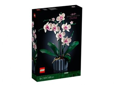 золотое украшения: Lego Icons 10311 Орхидея 🌸,608 деталей 🩷 рекомендованный возраст 18+
