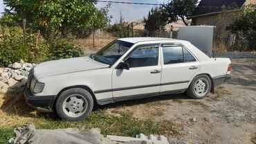 mercedes авто: Mercedes-Benz 200: 1985 г., 3 л, Механика, Дизель, Седан