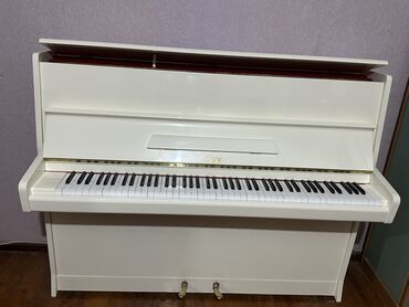 Pianolar: Piano, Petrof, Akustik, Yeni, Pulsuz çatdırılma — 12