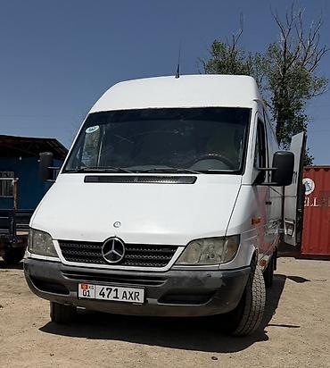 короткий спринтер: Mercedes-Benz Спринтер: 2005 г., 2.9 л, Механика, Дизель, Бус — 1