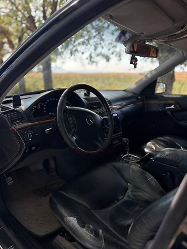 mazda 323 2003: Mercedes-Benz S-Class: 2001 г., 4.3 л, Автомат, Газ, Седан — 6