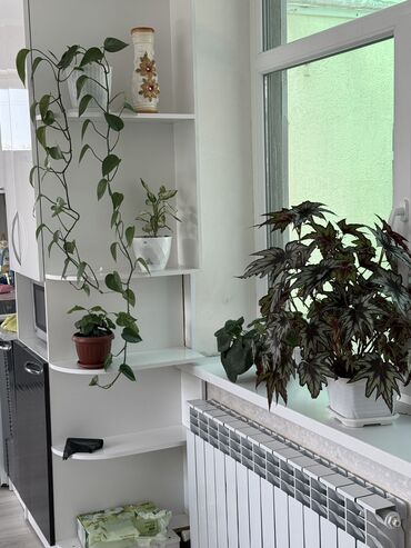 Иссык-Куль 2025: Койко-место, Bugu Каракол, Барбекю, Парковка, стоянка, Охраняемая территория — 2