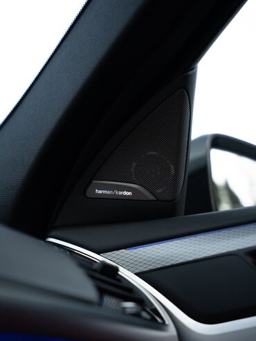 BMW: BMW X4: 2020 г., 2 л, Автомат, Дизель, Кроссовер — 11