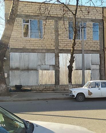 Kommersiya daşınmaz əmlakının satışı: Ismayilli rayonun merkezinde, Merkezi Xestexana,UNIBANK,KAPITAL BANK -da lalafo.az — 3 Kommersiya daşınmaz əmlakının satışı: Ismayilli rayonun merkezinde, Merkezi Xestexana,UNIBANK,KAPITAL BANK — 3