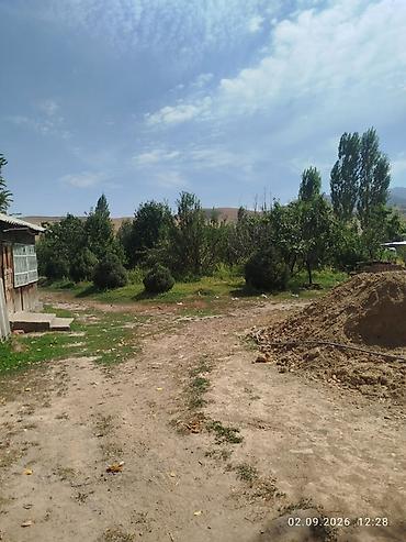земля сокулуке: 🏡 ПРОДАЁТСЯ УЧАСТОК — 30 СОТОК 📍 Сокулукский район, село Тош-Булак — 5
