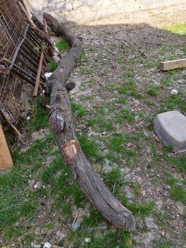 дарить постельное белье: Дрова отдам даром