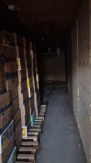 Промышленные холодильники и комплектующие: Модульная холодильная/морозильная 40 тоник Назначение: - Хранение at lalafo.kg — 7 Промышленные холодильники и комплектующие: Модульная холодильная/морозильная 40 тоник Назначение: - Хранение — 7