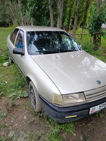 радиатор кондиционера опель зафира а: Opel Vectra: 1990 г., 1.6 л, Механика, Бензин