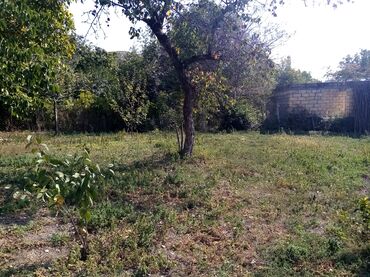 Torpaq sahələrinin satışı: 10 sot -da lalafo.az — 10 Torpaq sahələrinin satışı: 10 sot — 10