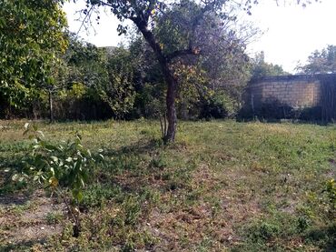 Torpaq sahələrinin satışı: Kənd təsərrüfatı — 3