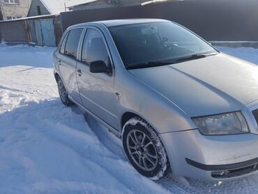 рекстон авто: Skoda Fabia: 2001 г., 1.5 л, Вариатор, Бензин, Хэтчбэк