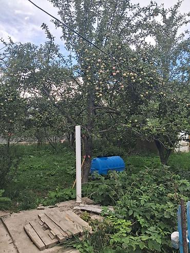 модыльный дом: 2 дома на участке. Есть возможность обмена на другую недвижимость — 6