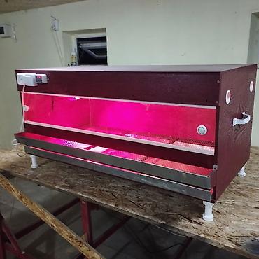 Товары и оборудование для с/х животных: Продаю брудер для выращивания цыплят полный комплект сделан из фанеры — 10