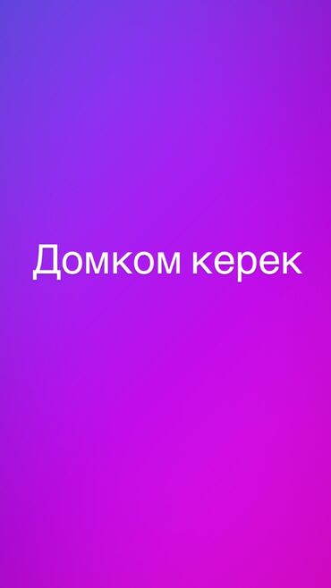 кылыс ордодон времянка сатылат: 2 бөлмө, Менчик ээси, Чогуу жашоосу жок