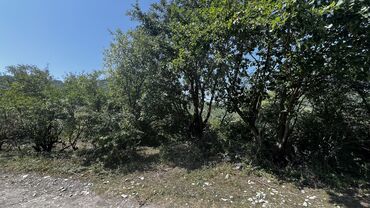 Torpaq sahələrinin satışı: 10 sot, Tikinti, Kupça (Çıxarış) — 7