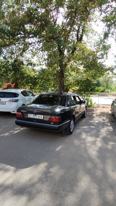 Mercedes-Benz: Mercedes-Benz W124: 1990 г., 2.3 л, Механика, Бензин, Седан — 11