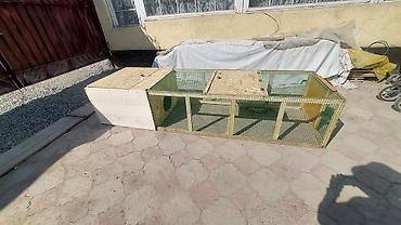 Товары и оборудование для с/х животных: Цена от 5000 и выше в зависимости от размеров. Уяча, гнездо с — 7