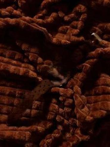 Ručni satovi: PAGANI DESIGN PD-1782 - 39mm - Crna/Koža Potpuno nov muški sat PAGANI — 11