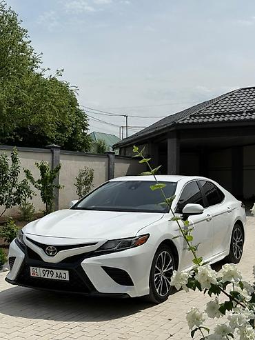 Toyota: Toyota Camry: 2019 г., 2.5 л, Автомат, Бензин, Седан — 5