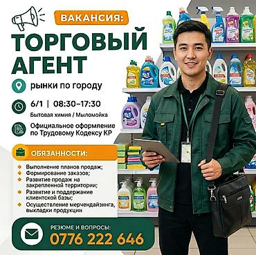 Требуется Торговый агент, График: Шестидневка, 1-2 года опыта, Официальное трудоустройство, Полный рабочий день