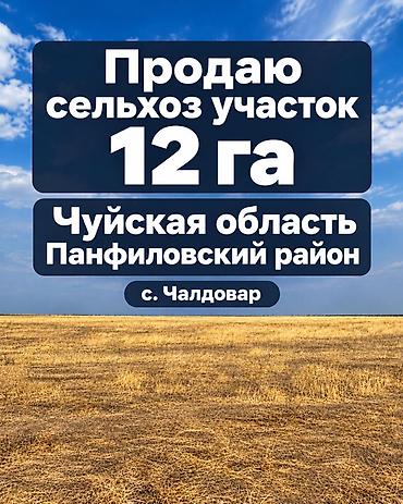 купить однокомнатную квартиру в аламедин 1: 1200 соток, Для сельского хозяйства, Красная книга, Договор купли-продажи — 1