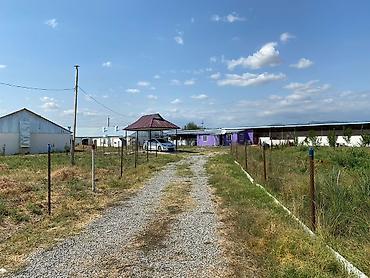 İcarəyə binalar: Ferma və təsərrüfat kompleksi 📍Ünvan : Ağsu rayonu • Sahə : 85 sot • — 3