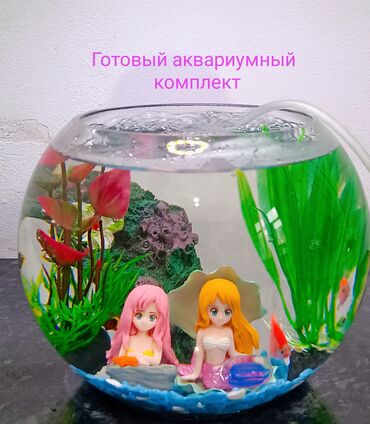 аквариум бишкек цена: ИДЕИ на ПОДАРОК!!! Готовый аквариум под ключ 🔑 с рыбками.🎁🥳 В
