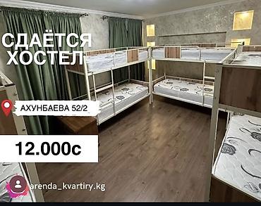 Хостелы: 🏡 Хостел Vibe — место для постоянного проживания! ✨ Для постоянных — 1