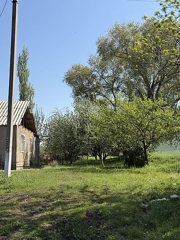 2 rooms: Срочно Сарай сатылат Беловодскийдин усту жагында алма бактары бар — 2