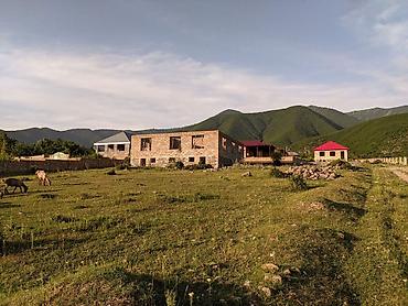 yari tikili: 16 sot, Mülkiyyətçi, Bələdiyyə — 1