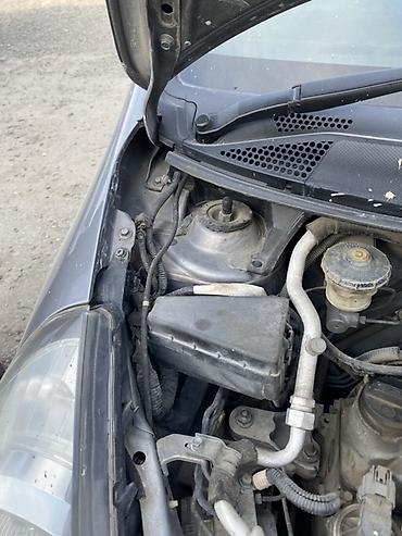 Honda: Honda Fit: 2004 г., 1.5 л, Вариатор, Бензин, Хэтчбэк — 8