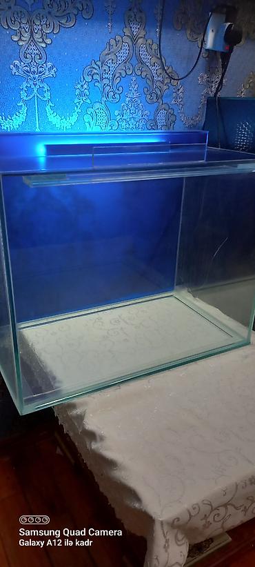 akvarium az: Salam istənilən ölçüdə akvarium ən azı 30 litrdən yuxarı münasib — 5