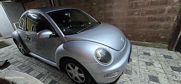 б у машины: Volkswagen Bettle: 2003 г., 2 л, Автомат, Бензин, Купе — 5