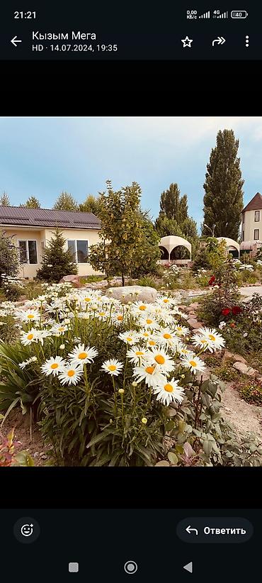 Аренда другой коммерческой недвижимости: Продажа Гостевой дом у Озера Ысык Кол. село Кожояр. Ц.О. Лагуна. с — 9