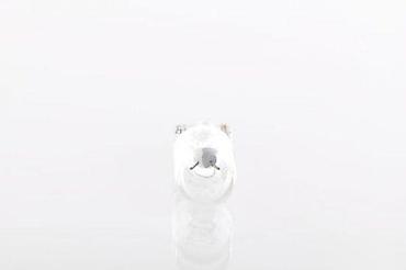 Sijalice: Bosch Pure Light W5W auto sijalice – set od 2 komada - Tip: W5W — 6