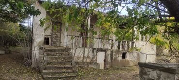 Bağ evlərinin satışı: Bağ sahəsi və köhnə tikili - Geniş, yaşıllıqla əhatələnmiş bağ — 6