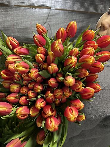 Теплицы: 🌷 Тюльпаны на продажу! Свежие, качественные, выращиваем сами. С — 6