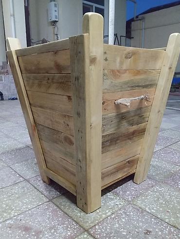 Bitkilər üçün dibçəklər: Ağacdan hazırlanmış dekorativ bitki qabı / bardaq tipli planter. - — 2